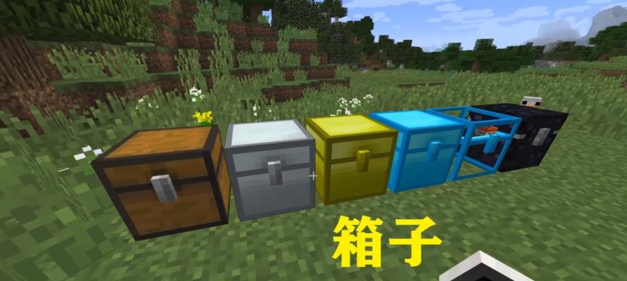 解锁人生选择之谜（探索无限可能）