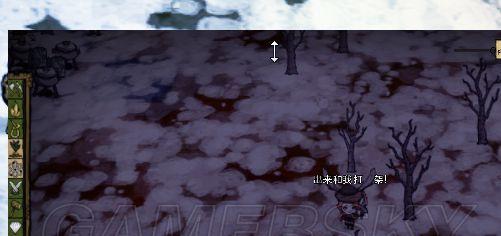 饥荒精灵公主技能及玩法介绍？如何有效利用她的能力在游戏中生存？