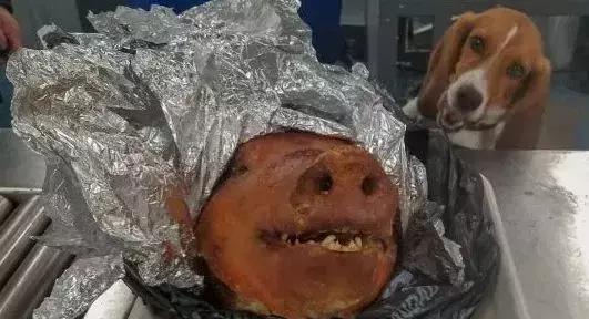 饥荒游戏中的趣事糗事囧事有哪些？如何避免这些尴尬情况？