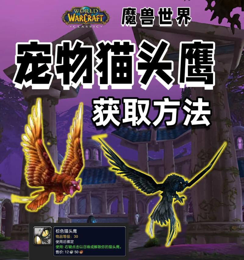 魔兽世界小宠物名字更改方法是什么？有无限制？