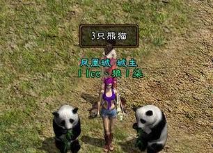 彩虹岛狼王位置的选择技巧是什么？
