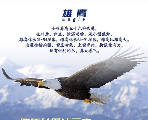 解放锐利之爪的获得方法是什么？需要满足什么条件？