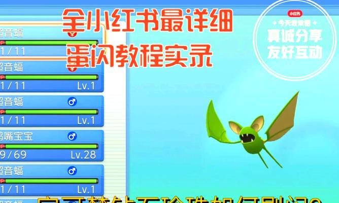 口袋妖怪钻石闪光术学习条件是什么？