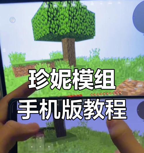 姐姐如何加入我的世界游戏？加入游戏的步骤是什么？