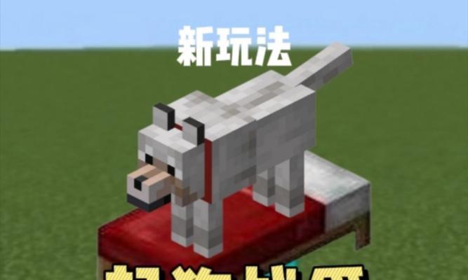 我的世界抚摸狗狗的操作是什么？