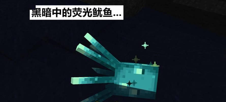 我的世界海洋生物和结构介绍？