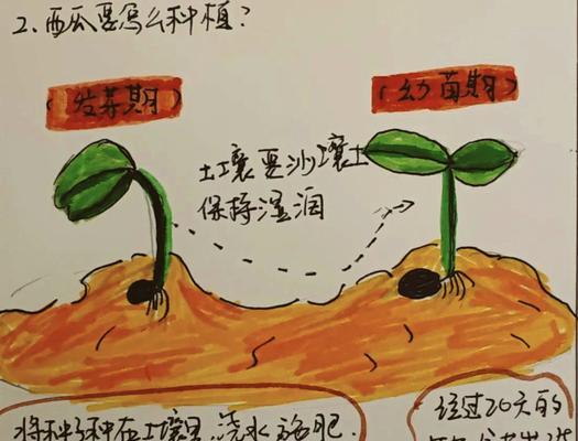 西瓜种子如何在Minecraft中种植？