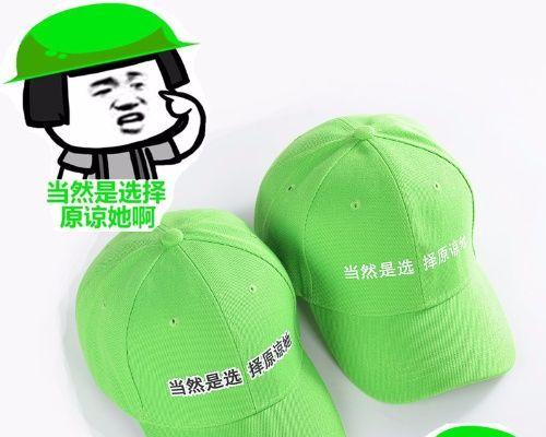 《原谅帽大作战攻略指南》（玩转原谅帽大作战）